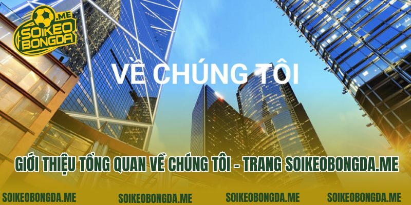 Giới thiệu tổng quan về chúng tôi - trang walking.style